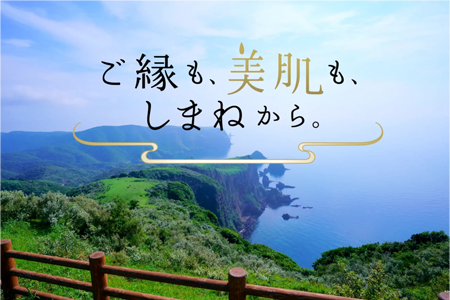 業界:地方自治体・観光（島根県）